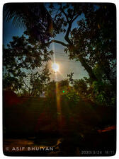 Where Life Is Beautiful